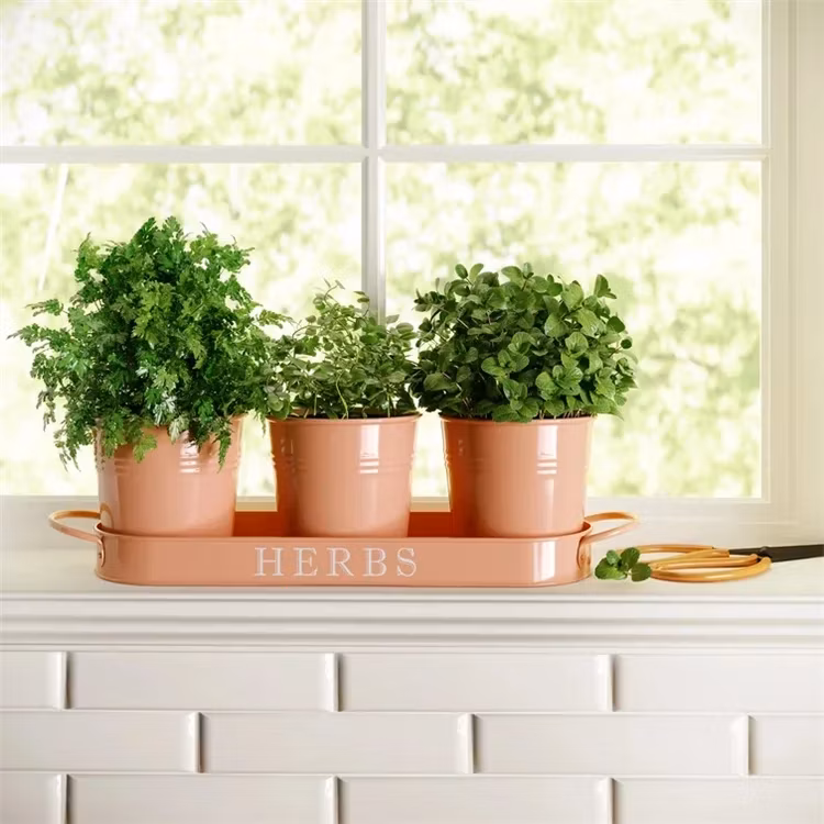 Multicolor Metal Iron Hanging Flowers Pots for Office Garden Decoration