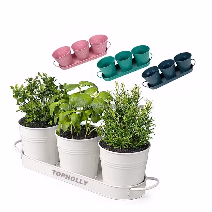 Multicolor Metal Iron Hanging Flowers Pots for Office Garden Decoration