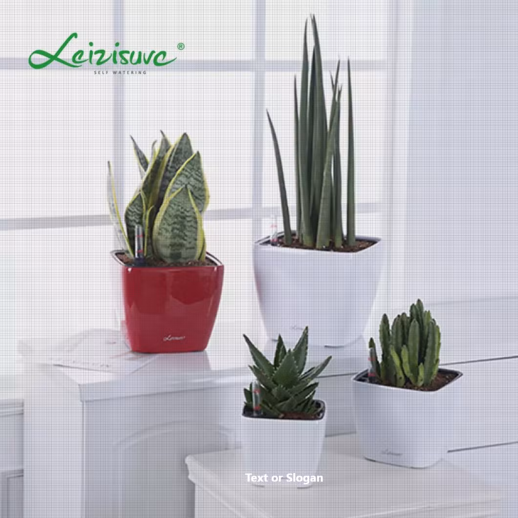 Square New Colorful Self-Watering Flower Pots Home and Garden Decoration