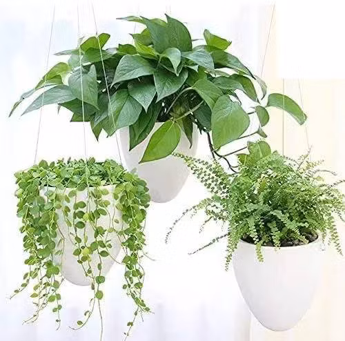 White Frosted Hanging Pot Hanging Flower Pot Water Plant Pot Thick Steel Wire with Inner Plastic Flower Pot 77X19X21cm and Cotton Rope Wbb17466