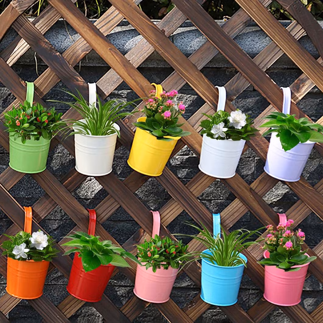 Multicolor Metal Iron Hanging Flowers Pots for Office Garden Decoration
