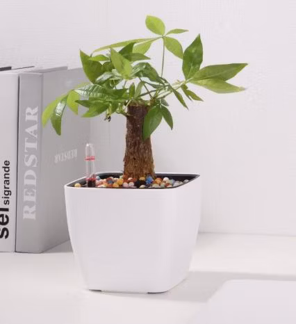 Square New Colorful Self-Watering Flower Pots Home and Garden Decoration