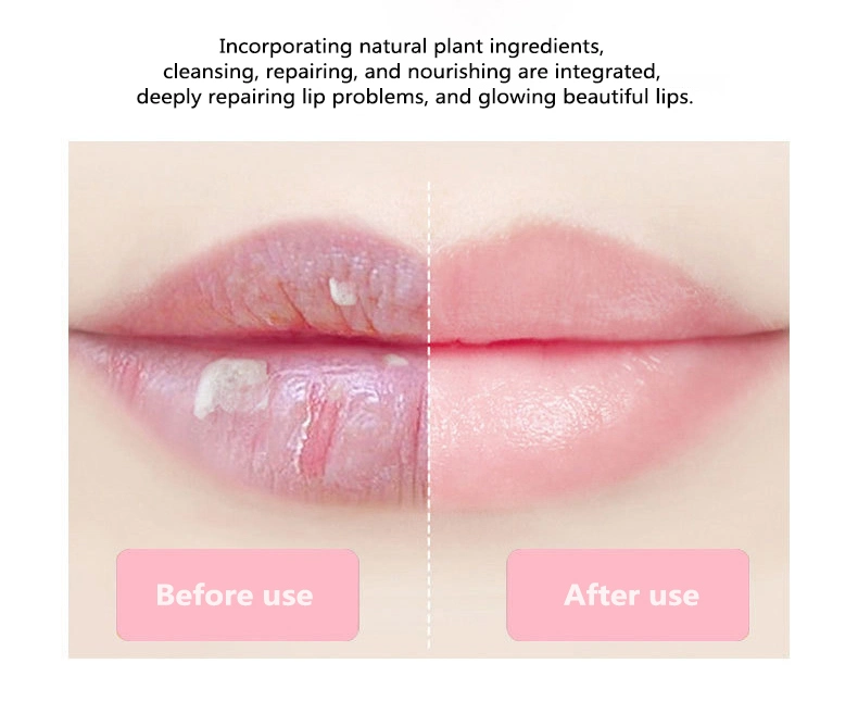 Private Label Moisturizer Vitamin Sheet Lip Mask Care Cosmetics