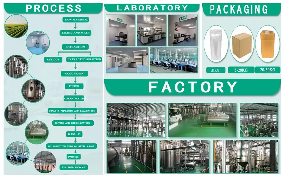 Geranium Extract 10: 1 Natural Extraction High Security Improve Fatigue Diuresis Antiphlogosis