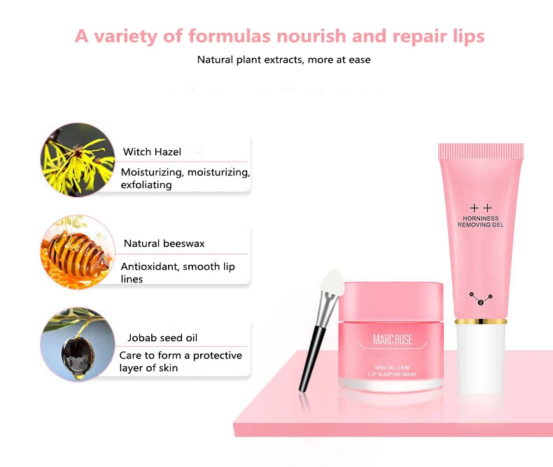 Private Label Moisturizer Vitamin Sheet Lip Mask Care Cosmetics