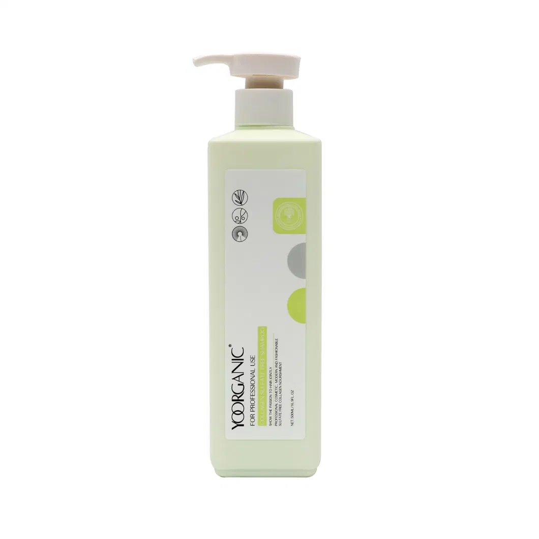 Private Label Sulfate Free Curly Hair Care Products Hair Shampoo and Conditioner