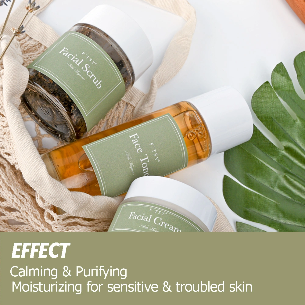 Private Label Calming Vitamin C Vitamin E Mugwort Scrub Set