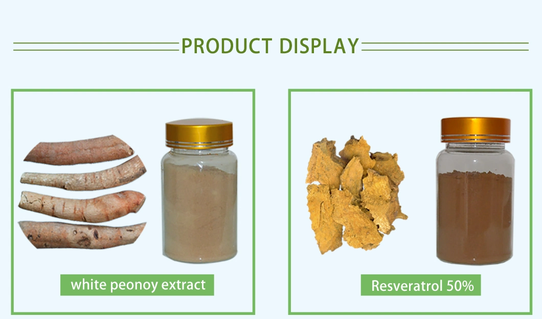 Urtica Dioica Nettle Root Extract 5: 1