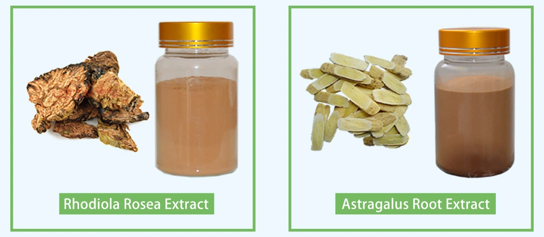 Tuckahoe Extract/Fuling Extract