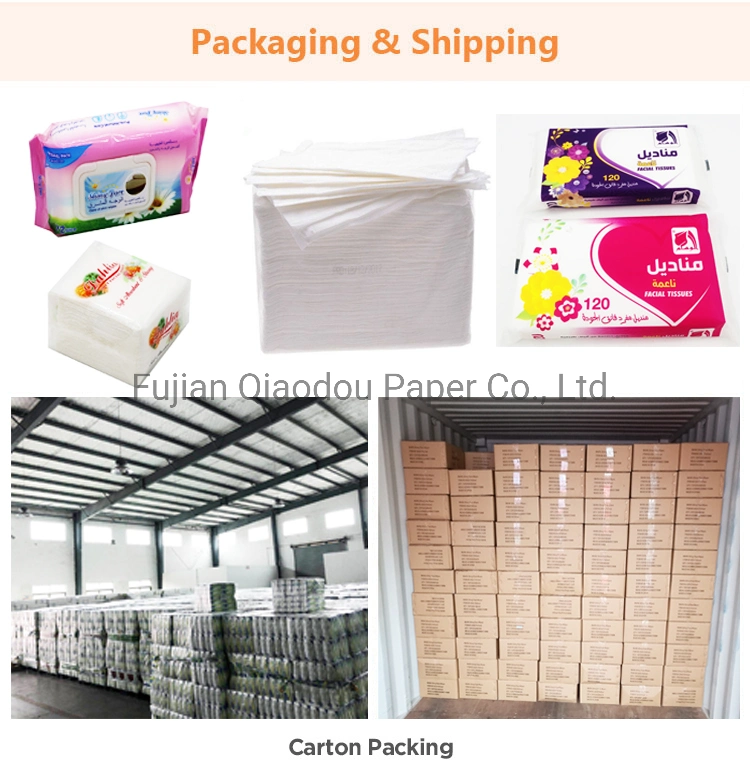 China Manufacturer Daily Use Cleaning Disposable Baby Facial Wet Wipes