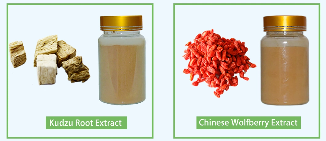 CAS: 84696-21-9 Total Triterpenes Asiaticoside B +Madecassoside+Asiaticoside 70% (Water-solubility) Gotu Kola P. E.