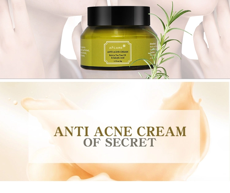 Oil Control Smoothing Anti Acne Dark Scar Natural Tea Tree Face Cream