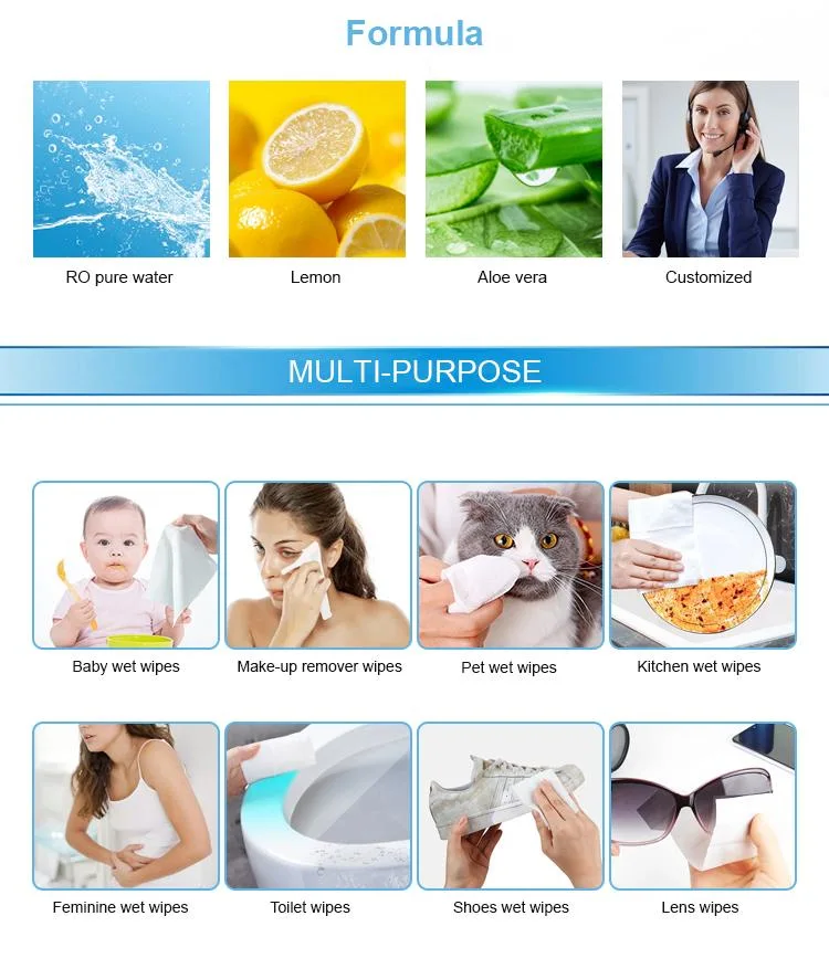 Wet Wipes Factory Custom Functional Wipes Baby Wipes Makeup Wipes Kitchen Wipes Wet Wipes Household Wipes Cleaning Wet Wipes with ISO22716 ISO9001 GMP Approval