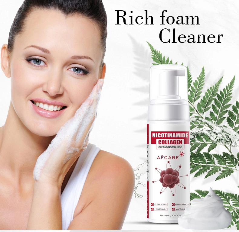 Best Gentle Foam Face Wash Rose Hip Seed Foaming Facial Cleanser