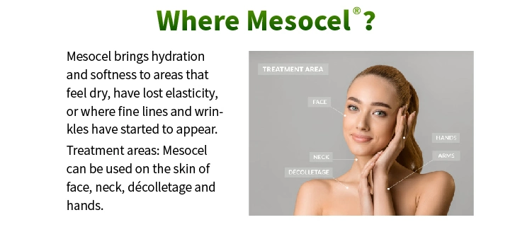 Mesocel Skin Moisturizing Hydration Face Seringues Hyaleron Acide Hyaluronique Ampoule Serum Pour