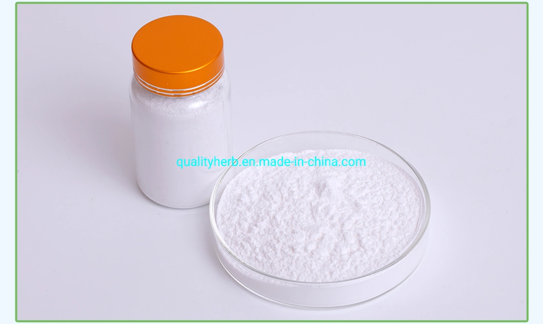 GMP Factory Top Quality Hyaluronic Acid