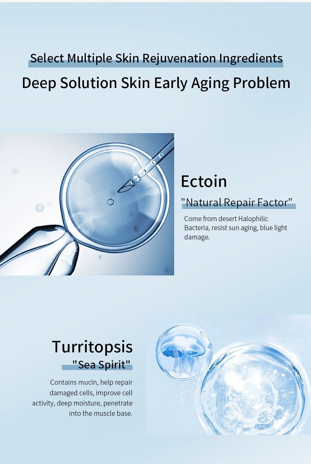 Customized Nutricula Anti-Aging Nourishing Energy Face Lotion Skincare Products