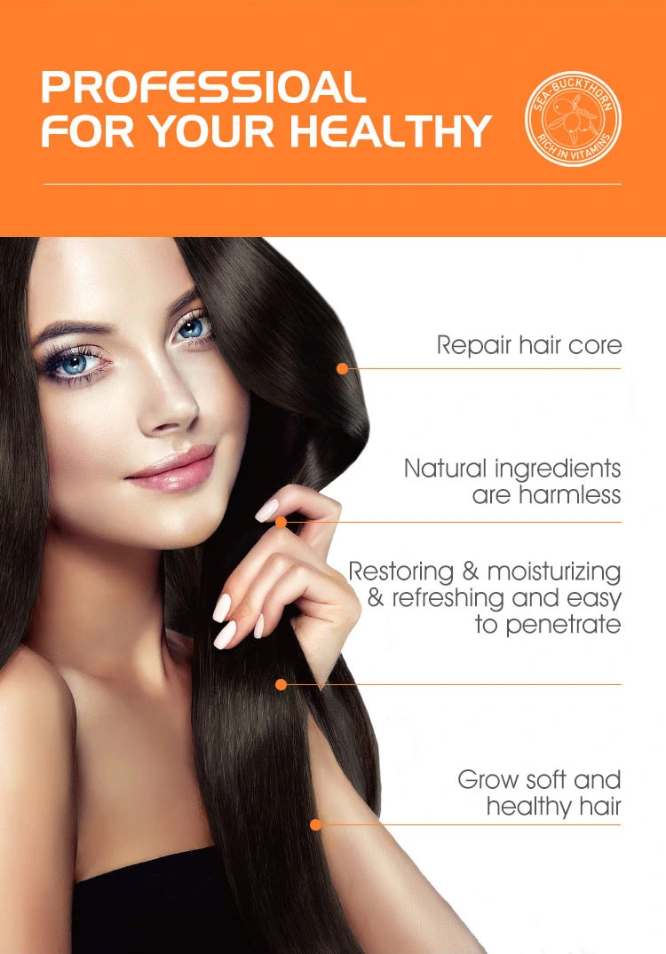 Private Label Sulfate Free Curly Hair Care Products Hair Shampoo and Conditioner