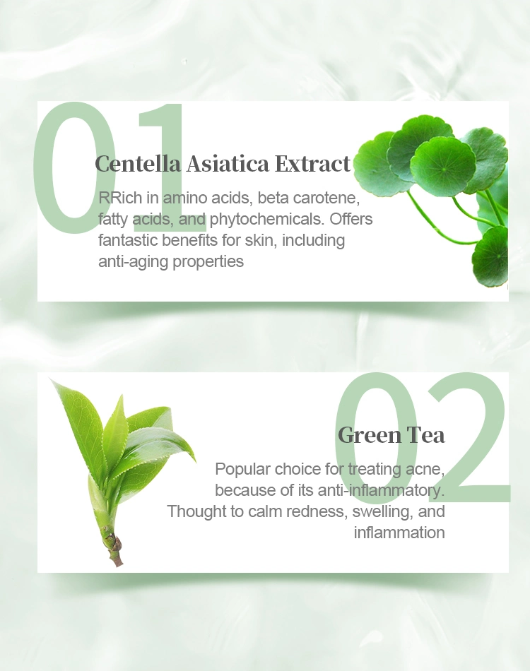 Wholesale Skin Care Natural Green Tea Herbal Acne Treatment Repairing Serum