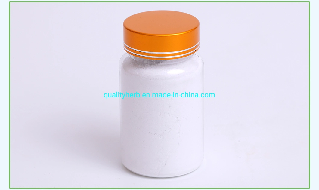 GMP Factory Top Quality Hyaluronic Acid