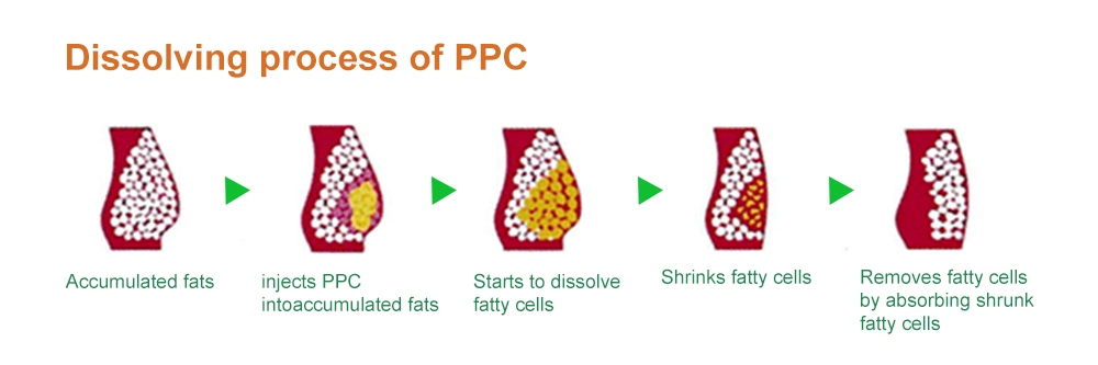 Dermeca Injectable Lipolytic Serum for Fat Dissolving