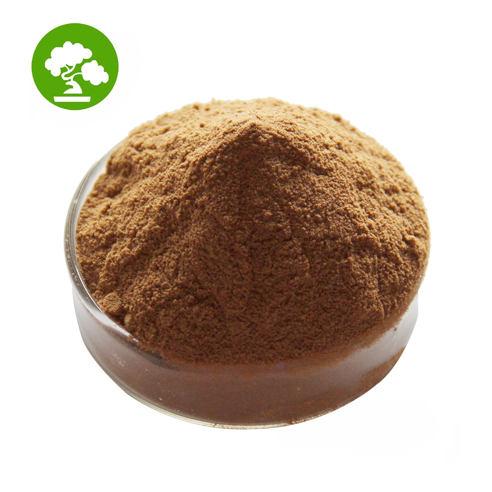 100% Pure Chaga Mushroom Extract Powder