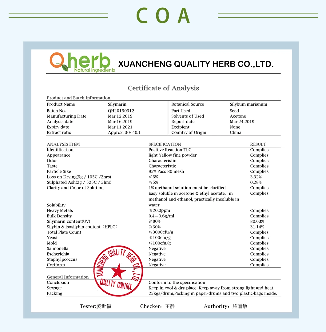 Silybum Marianum Extract Silybin &amp; Isosilybin 30% HPLC