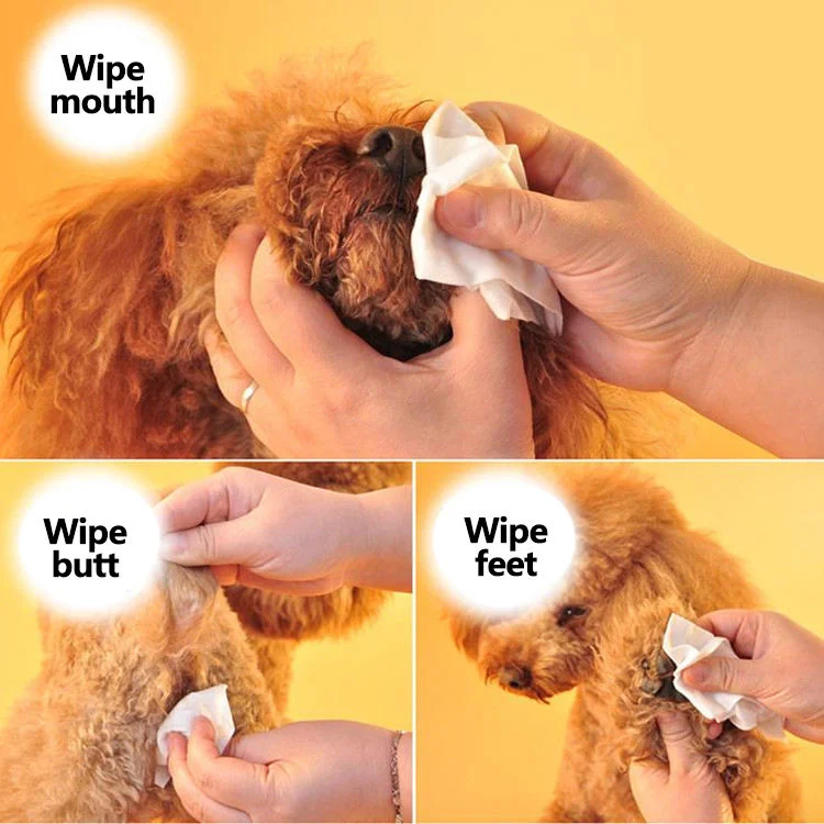 Disposable Home Use Pet Wipes Cleansing Wipes Organic Dog Cat Ear Eye Clean Grooming Dog Wet Wipes