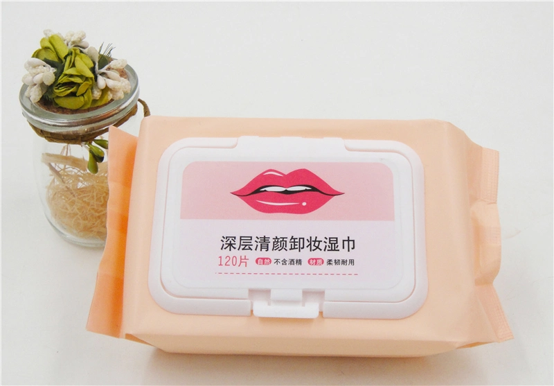 Make-up Remover Wet Wipes From China Supplier