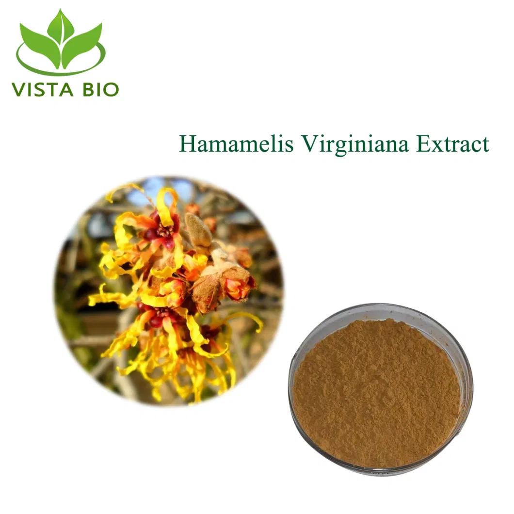 Factory Supply Skincare Organic Tannins 10% ~20% Hamamelis Virginiana Extract Witch Hazel Extract Powder