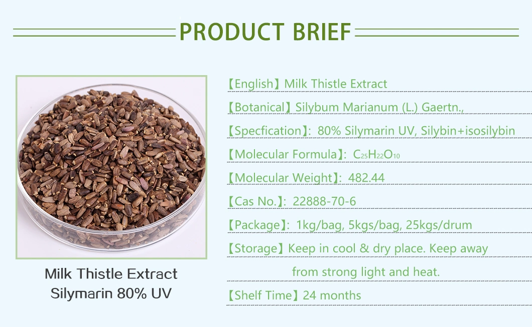 Silybum Marianum Extract Silybin &amp; Isosilybin 30% HPLC