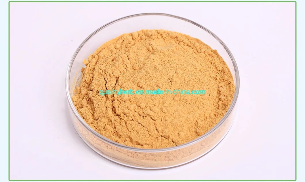 Silybum Marianum Extract Silybin &amp; Isosilybin 30% HPLC