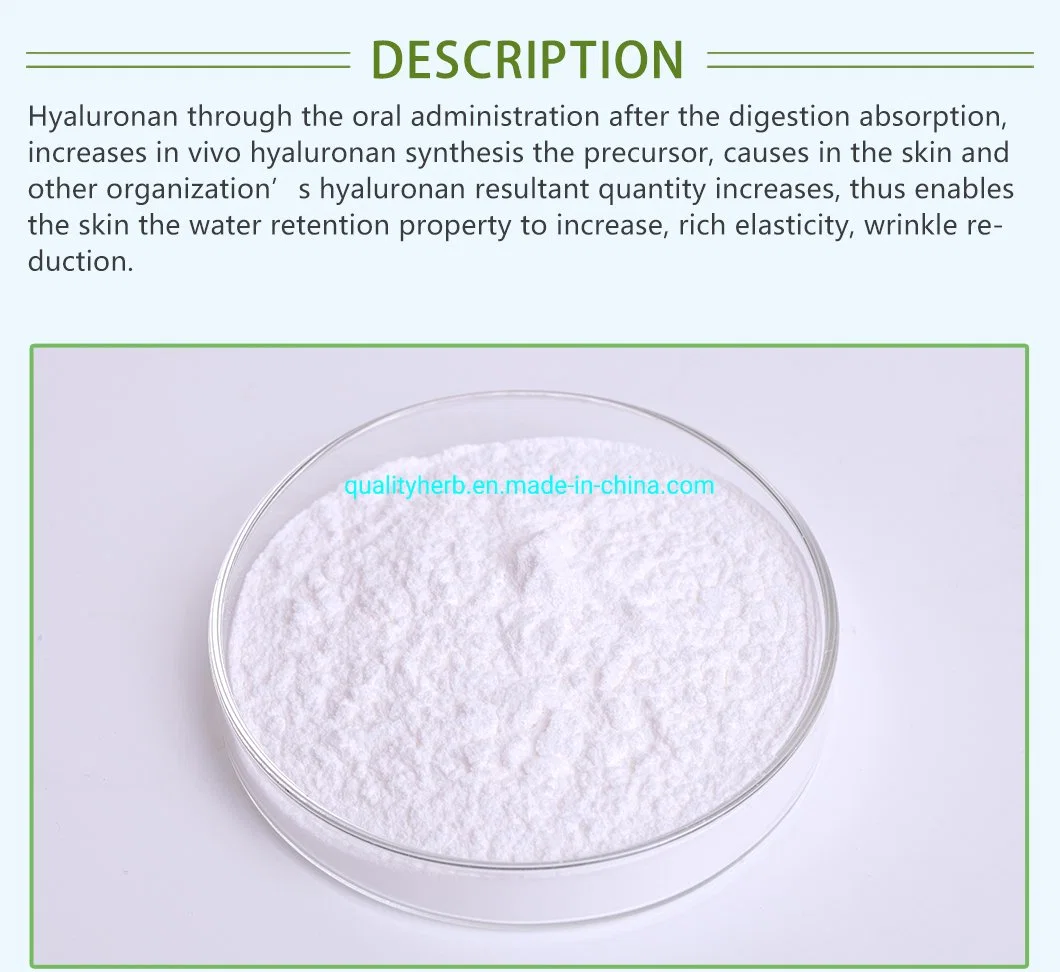 Food Grade Natural Sodium Hyaluronic Acid with Free Sample