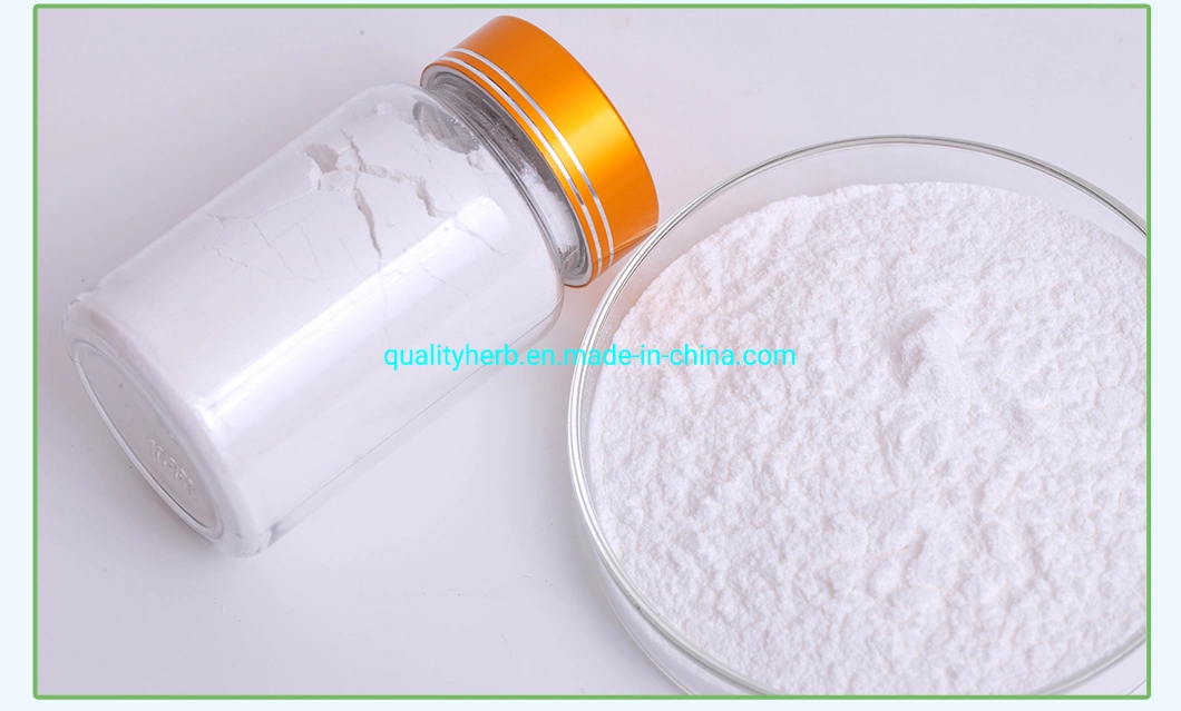 GMP Factory Top Quality Hyaluronic Acid