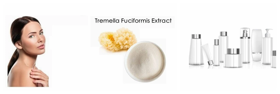 Skincare Ingredients Plant Extracts China Factory Tremella Extract Cosmetic Grade