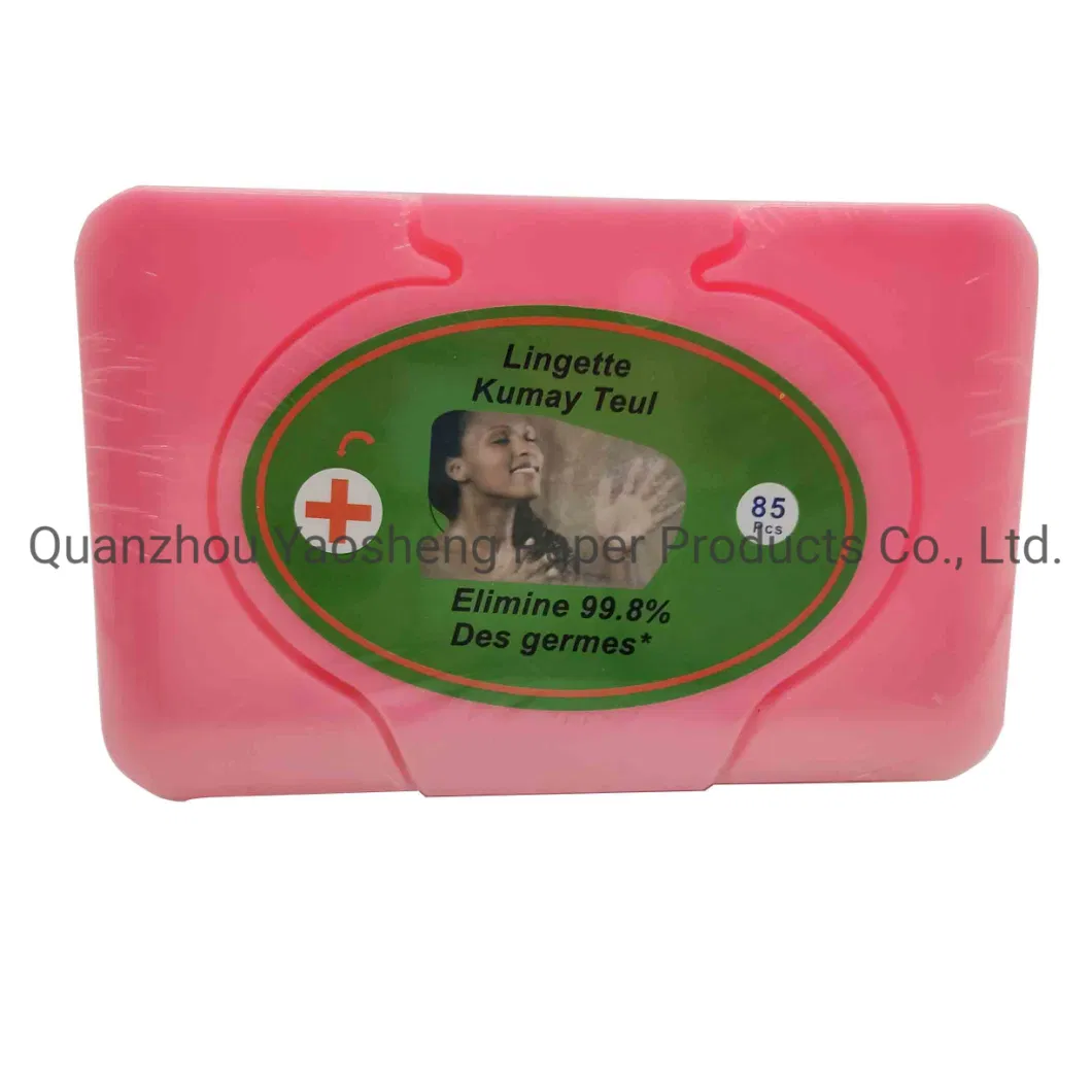 Wholesale Product Household Surface Cleansing Non-Woven Wipe Bath and Room Wet Wipes