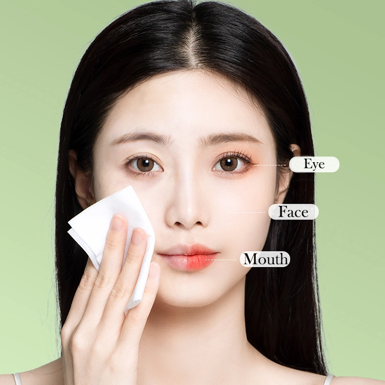 Biokleen Custom Logo Makeup Remover Wet Facial Cleansing Cosmetic Oil Free Wipes Aloe Vera Makeup Remover Face Wipes