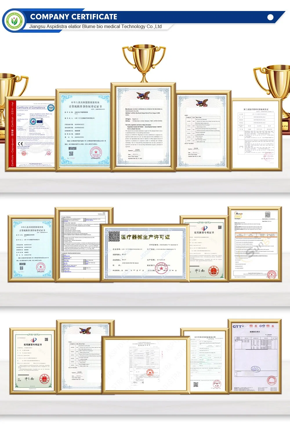 Medical Sodium Hyaluronate Skin Repair Dressing Hyaluronic Acid Sheep Placenta Whitening Hydrating Facial Gel Sheet Mask