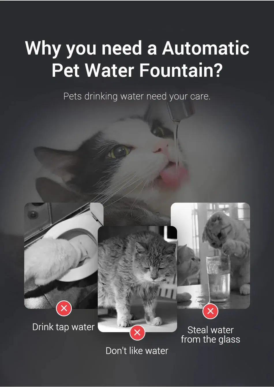 Rechargeable 5V Pet Water Fountain Automatic Cat Smart Pet Water Dispenser with Faucet and Gushing Modes