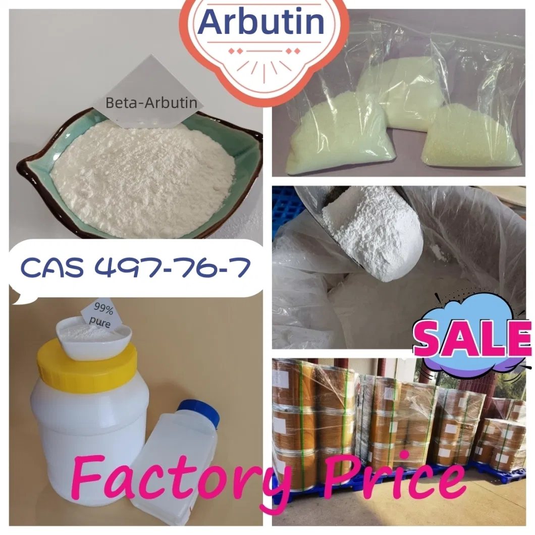 Cosmetic Raw Material Powder Arbutin CAS 497-76-7 Beta-Arbutin