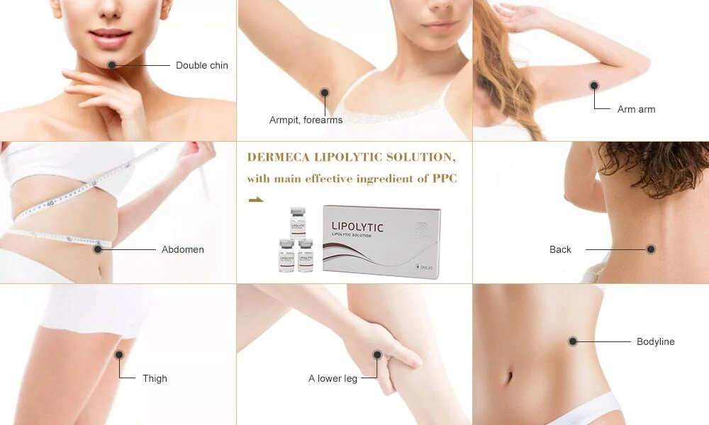 Dermeca Injectable Lipolytic Serum for Fat Dissolving