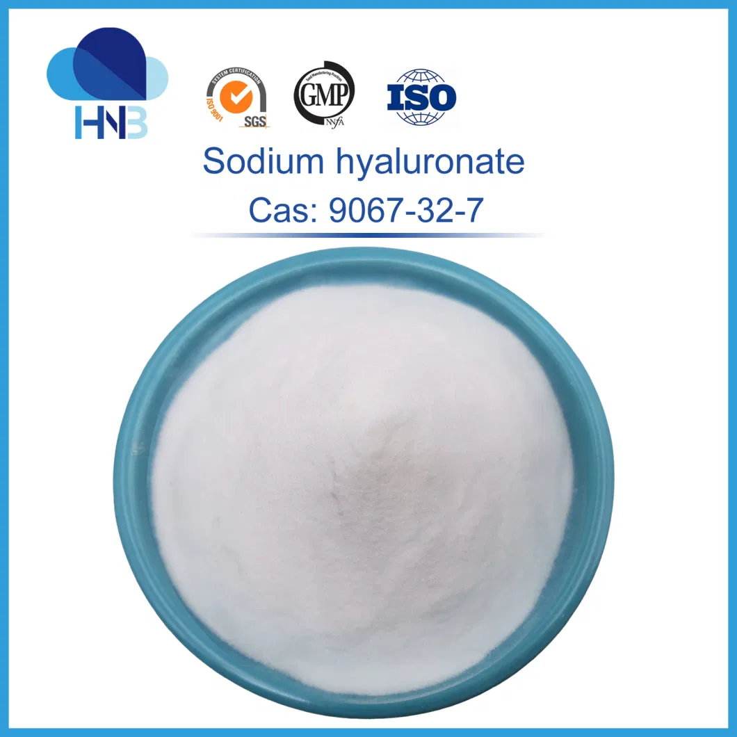 9067-32-7 Humectant Anti-Aging Raw Powder Pure USP Ha Sodium Hyaluronate