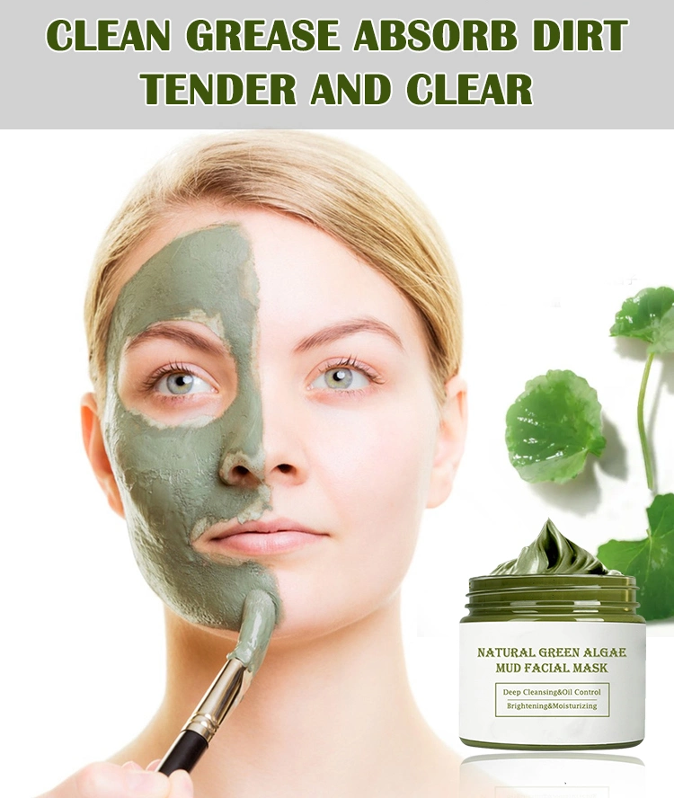 Natural Mud Face Skincare Deep Cleansing Purifying Facial Clay Green Tea Mask