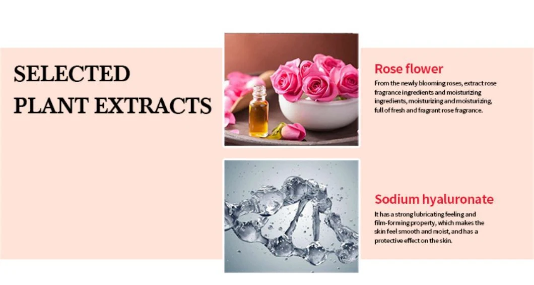 High Quality Moisturizing Lotion Rose Body Lotion for Dry Skin