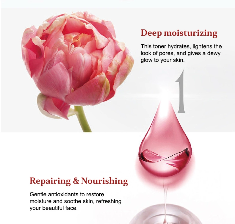 Hot Sale Ekber 100% Natural Organic Purifying Facial Mist Hydrating Moisturizing Rose Facial Mist Toner