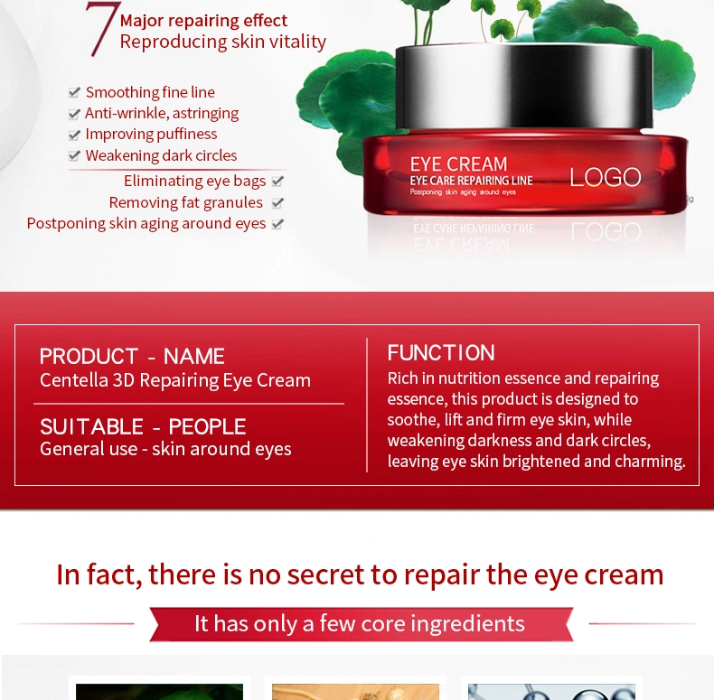 Skin Care Moisturizing Anti Wrinkle Anti Aging Eye Cream for Dark Circles and Wrinkles