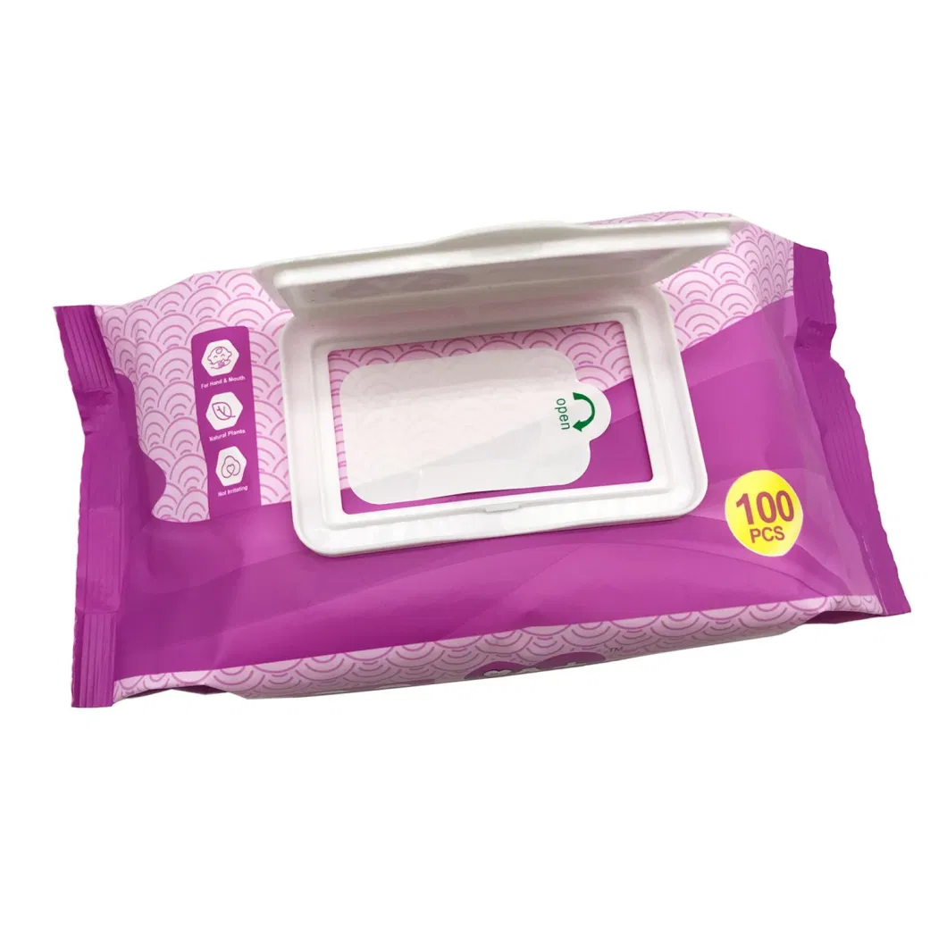 OEM Biodegradable Cleansing Wipes Facial Wipes for Makeup Removing 10 PCS Bags