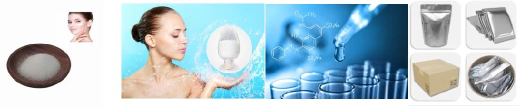 China CAS No. 9067-32-7 /158254-23-0 Sodium Hyaluronic Acid /Sodium Acetylated Hyaluronate Acha