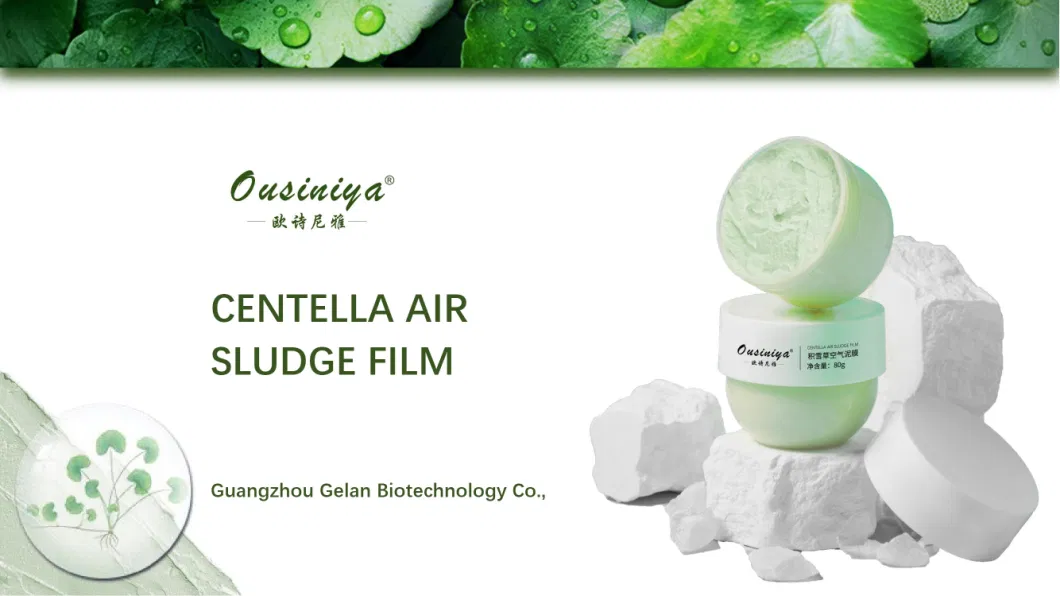 Private Label Centella Face Mask Deeply Cleaning Whitening Skin Balanced Oil Mud Mask