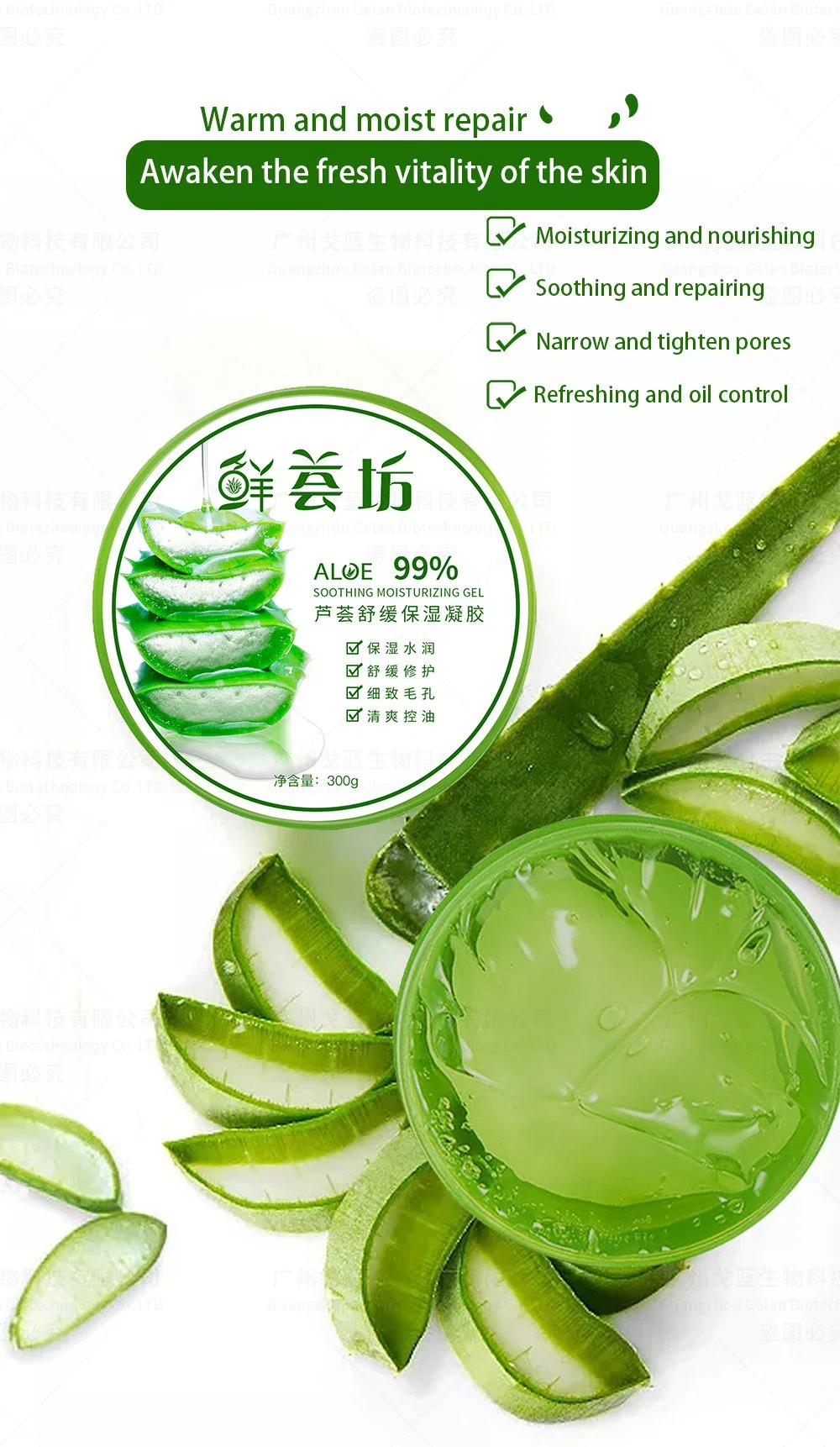 Factory Anti Wrinkle Aloe Vera Gel Face Skin Moisturizer